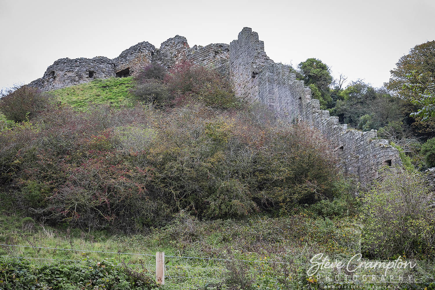 Berwick Castle
