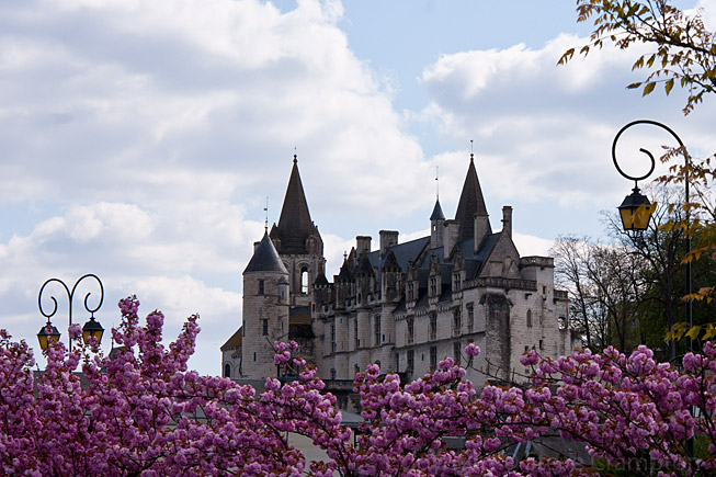Chateau de Loches