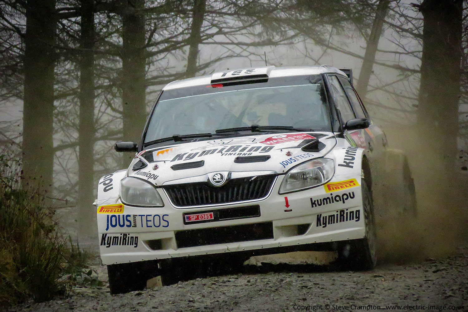 Wales Rally GB