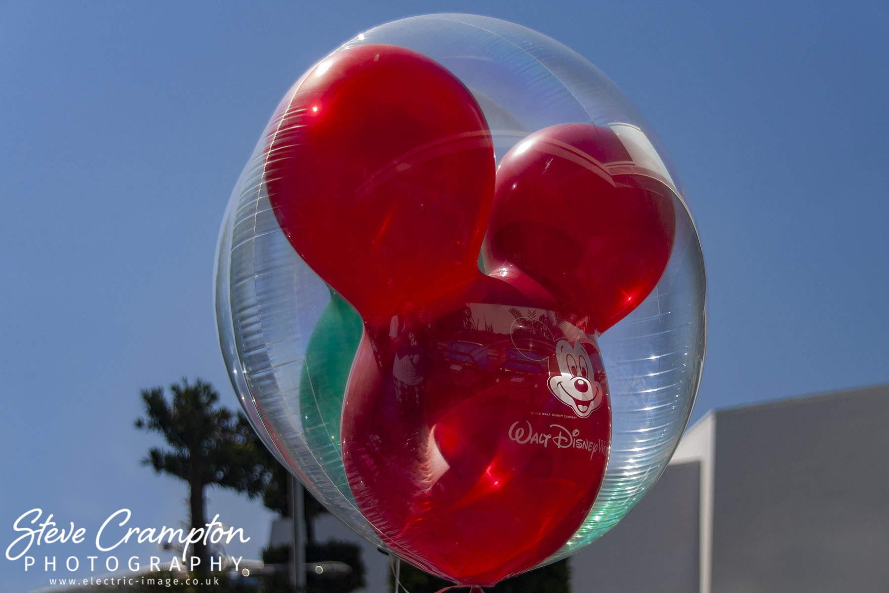 Red Balloon at Walt Disney World Florida